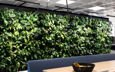 Naava – Die nachhaltige Pflanzenwand für Ihre Räume
